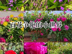 -上海交通大学(闵行校区)