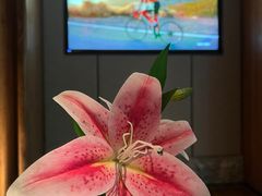 -浅深(北京北四环精品店)