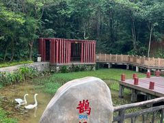 -神光山国家森林公园