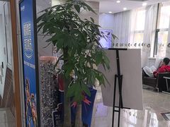 -茂菊口腔连锁(浦东南路店)