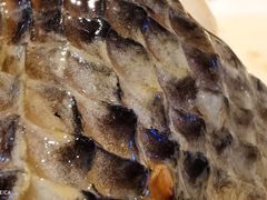 关公水煮鱼-水煮三国·川鲁江湖菜(香山店)