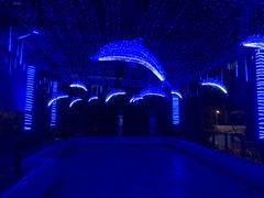 -杭州浪浪浪水公园