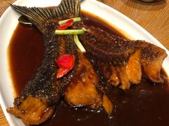 -宁波柏悦酒店·钱湖渔港