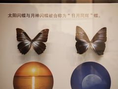-天津自然博物馆