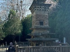 -四门塔风景区