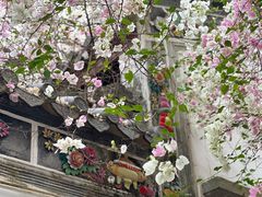 -深圳国际园林花卉博览园