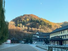 -青龙寺