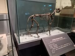-大庆市博物馆