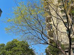 -武汉紫薇都市田园