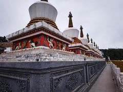 -塔尔寺游客服务中心