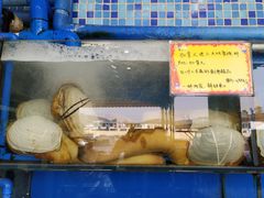 象拔蚌-蚝专家(北滘店)