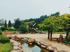 -大连蚂蚁岛度假区