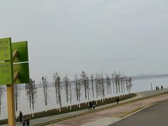 -游心咖啡(青山滨江店)