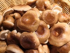-椰夫人·养生椰子鸡(金沙洲永旺店)
