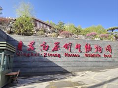 -青藏高原野生动物园