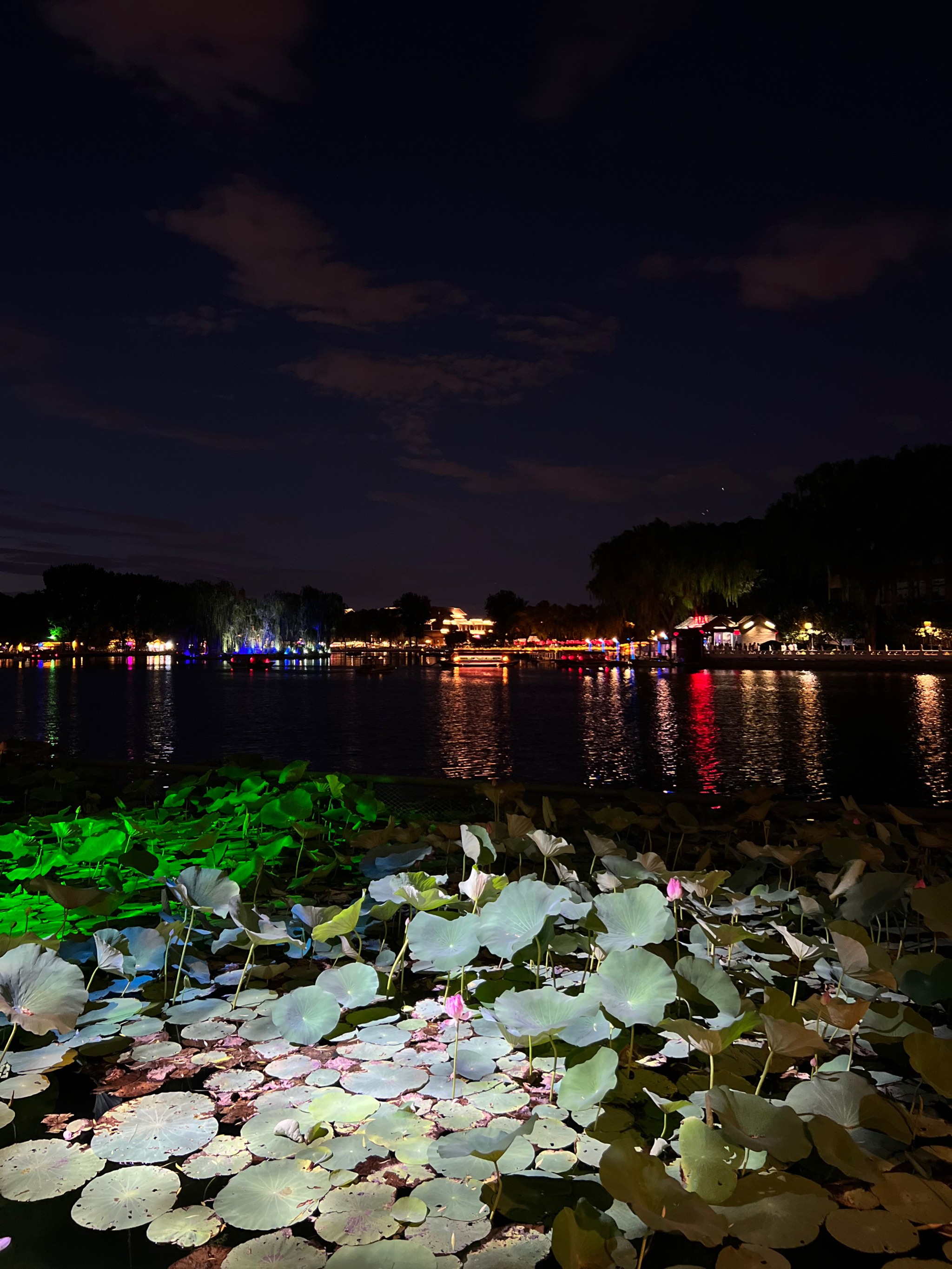 后海夜景图片