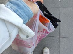 -芦庄子桂顺斋(和平路总店)