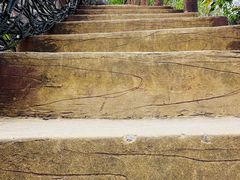 -广州白江湖森林公园