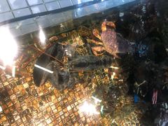 -海鲜e族(马王堆店)