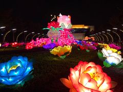 -映月湖公园