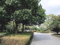 -杭州城北体育公园