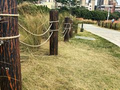 -红花山公园