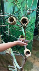 -Zoolung Zoolung动物主题公园(海信广场店)