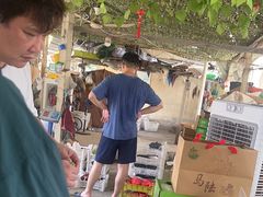 -马陆小张葡萄园农家乐