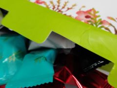 -斯坦星球AI编程·机器人科创·科学实验·信奥·思维·STEM·乐高·竞赛考级(长宁虹桥大融城荟聚中心)