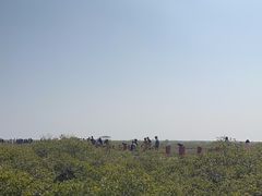 -北海金海湾红树林生态旅游区