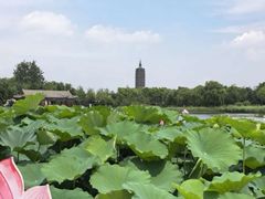 -西海子公园