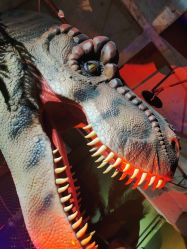 -恐龙探索乐园(磁器口店)