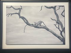 -罗红摄影艺术馆