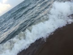 -玫瑰海岸文化旅游度假区