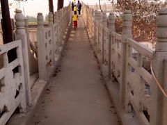 -东方巨龟苑景区