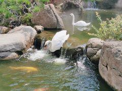 -罗红摄影艺术馆