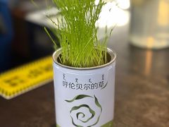-很久以前羊肉串(大宁中心广场店)