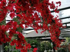 -湘邻呷铺·田园家宴(汉基广场店)