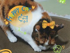 -东方体育中心(地铁站)