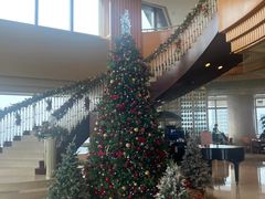 -上海明天广场JW万豪酒店