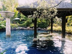 -厦门日月谷温泉渡假村