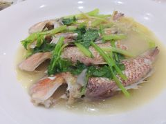 -海港酒楼·平价海鲜·茶点(小公园店)