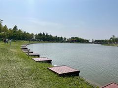 -宁波杭州湾国家湿地公园