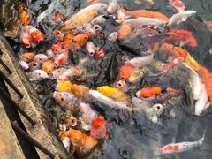 -华南国家植物园-售票处