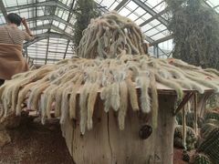 -南通洲际绿博园