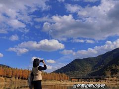 -小芝红树林