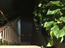 -意念造型