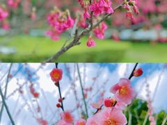 -西湖公园(鼓楼区)