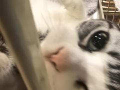 -情忆草原涮肉馆