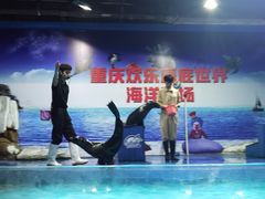 -重庆欢乐海底世界
